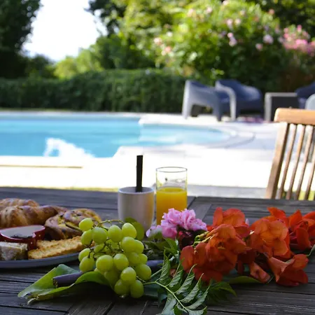 Lo Canto - Piscine&spa - Près D'albi Et Cordes * Gaillac