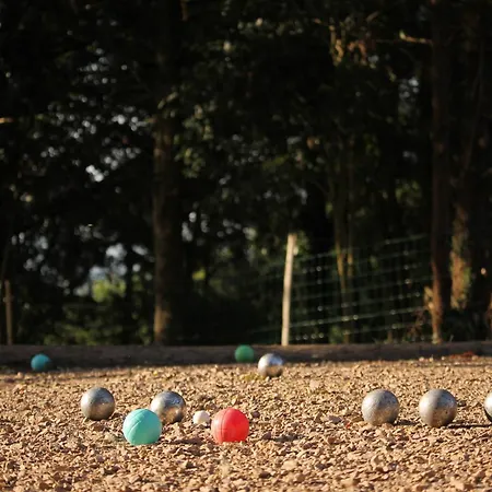Lo Canto - Piscine & - Pres D'albi Et Cordes
