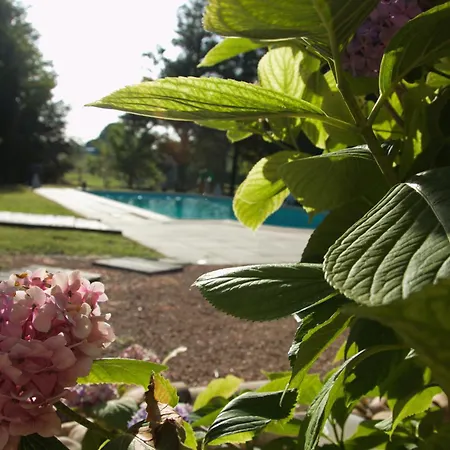 Lo Canto - Piscine & - Pres D'albi Et Cordes Semesterbostad *