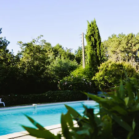 Lo Canto - Piscine & - Pres D'albi Et Cordes Semesterbostad Gaillac