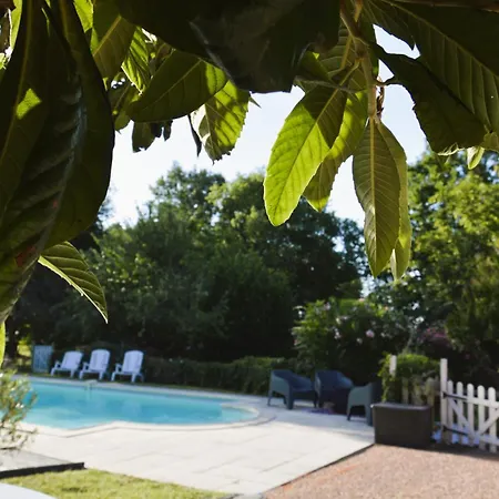 Lo Canto - Piscine & - Pres D'albi Et Cordes Gaillac