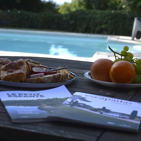 Lo Canto - Piscine & - Pres D'albi Et Cordes Gaillac