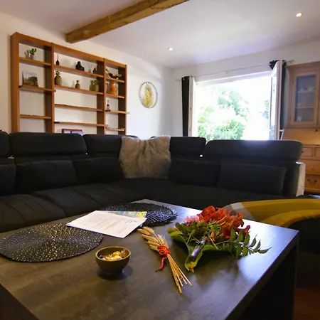 Coup De Cœur - Piscine&vignes - Près D'albi Et Cordes Hébergement de vacances