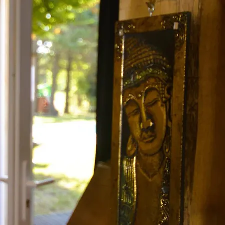 Lo Canto - Piscine & - Pres D'albi Et Cordes * Гайак