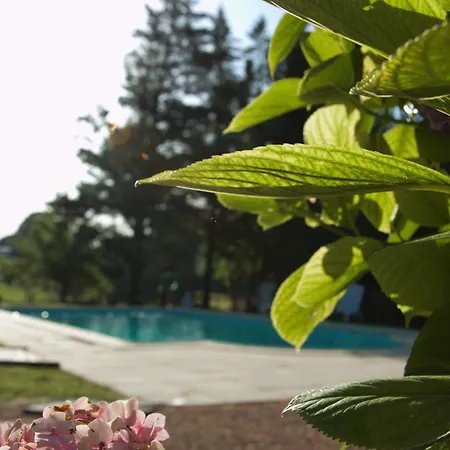 Hébergement de vacances Coup De Cœur - Piscine&vignes - Près D'albi Et Cordes
