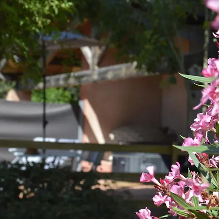 Lo Canto - Piscine & - Pres D'albi Et Cordes Дом отдыха