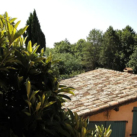 Coup De Cœur - Piscine&vignes - Près D'albi Et Cordes Gaillac