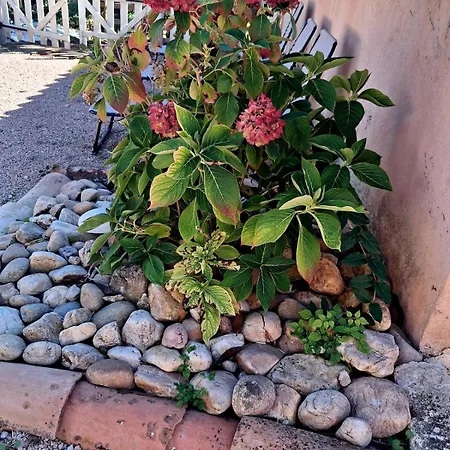 Дом отдыха Lo Canto - Piscine & - Pres D'albi Et Cordes Гайак