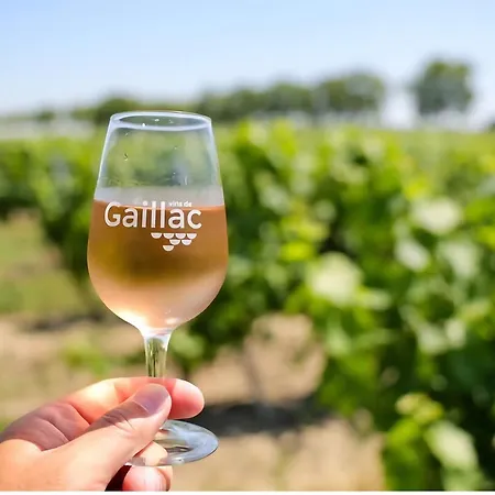 Casa vacanze Lo Canto Gaillac