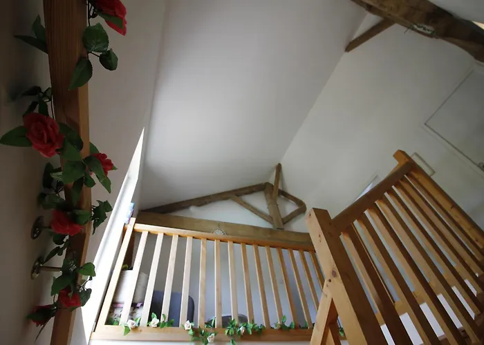 Coup De Cœur - Piscine&vignes - Près D'albi Et Cordes *