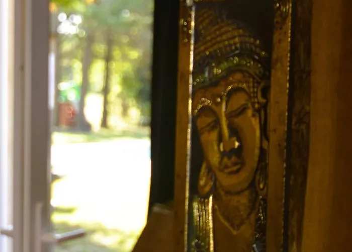 Coup De Cœur - Piscine&vignes - Près D'albi Et Cordes * Gaillac