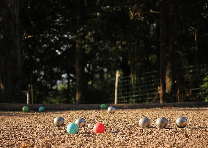 Coup De Cœur - Piscine&vignes - Près D'albi Et Cordes
