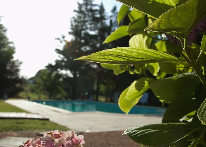 Casa vacanze Coup De Cœur - Piscine&vignes - Près D'albi Et Cordes