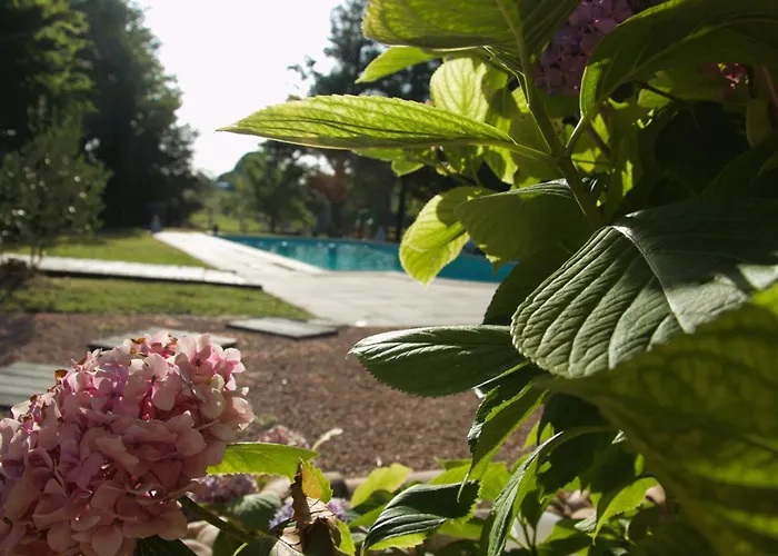 Coup De Cœur - Piscine&vignes - Près D'albi Et Cordes Casa vacanze *