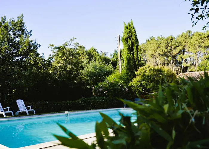 Coup De Cœur - Piscine&vignes - Près D'albi Et Cordes Casa vacanze Gaillac