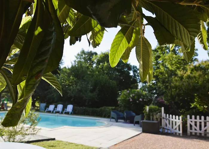 Coup De Cœur - Piscine&vignes - Près D'albi Et Cordes Gaillac