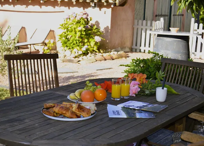 Coup De Cœur - Piscine&vignes - Près D'albi Et Cordes *