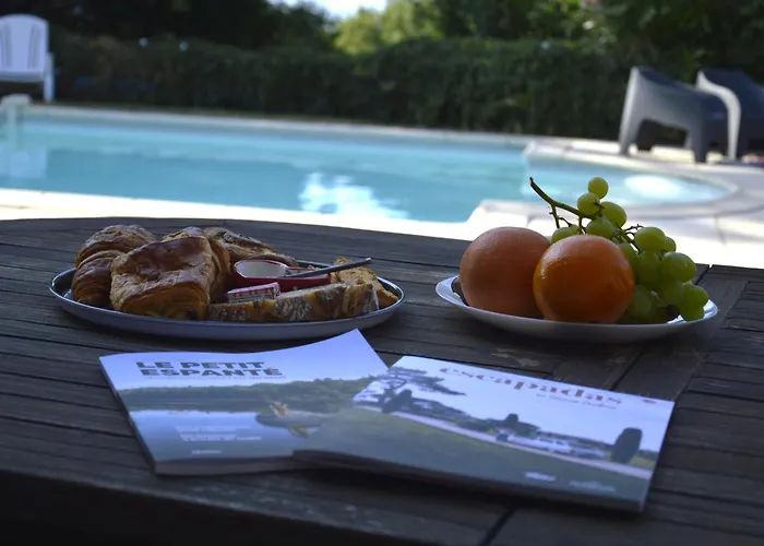 Coup De Cœur - Piscine&vignes - Près D'albi Et Cordes Gaillac
