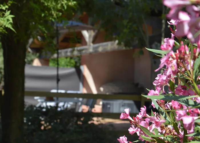 Coup De Cœur - Piscine&vignes - Près D'albi Et Cordes Casa vacanze