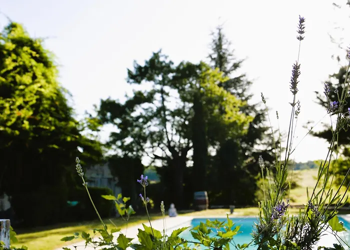 Casa vacanze Coup De Cœur - Piscine&vignes - Près D'albi Et Cordes