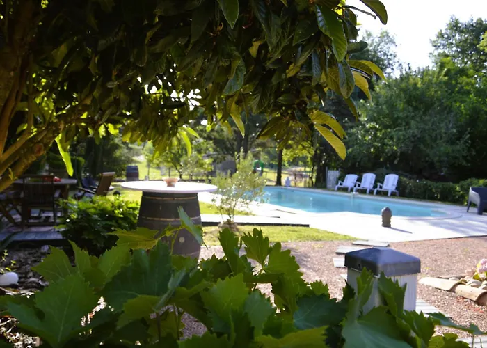 Coup De Cœur - Piscine&vignes - Près D'albi Et Cordes *