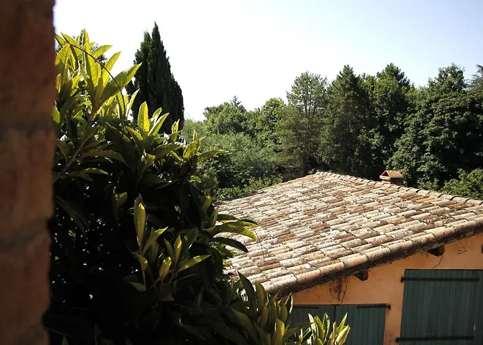 Coup De Cœur - Piscine&vignes - Près D'albi Et Cordes Gaillac
