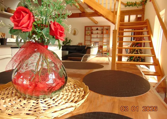 Coup De Cœur - Piscine&vignes - Près D'albi Et Cordes