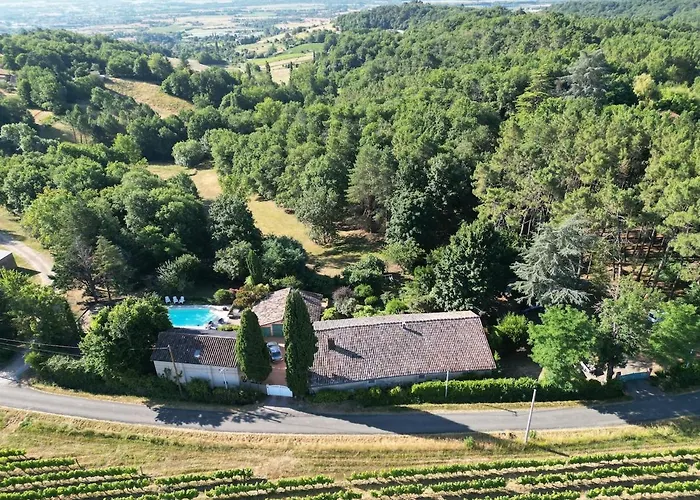 Coup De Cœur - Piscine&vignes - Près D'albi Et Cordes * Gaillac