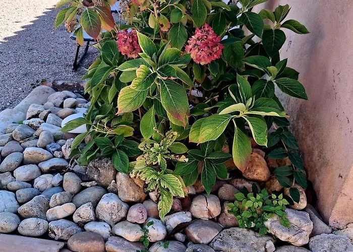 Casa vacanze Coup De Cœur - Piscine&vignes - Près D'albi Et Cordes Gaillac