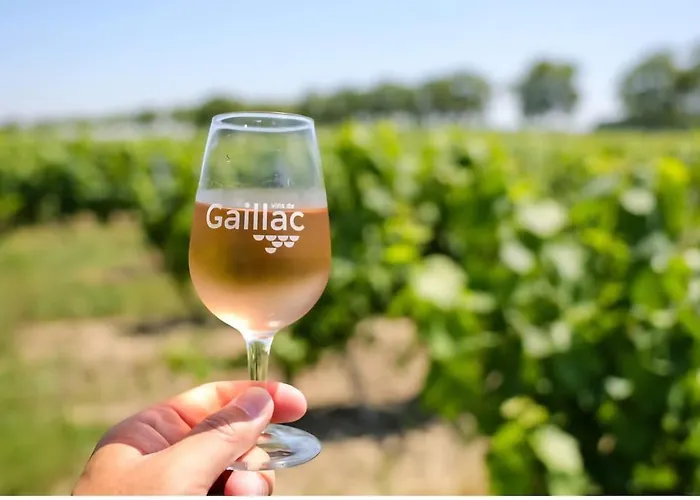 Coup De Cœur - Piscine&vignes - Près D'albi Et Cordes