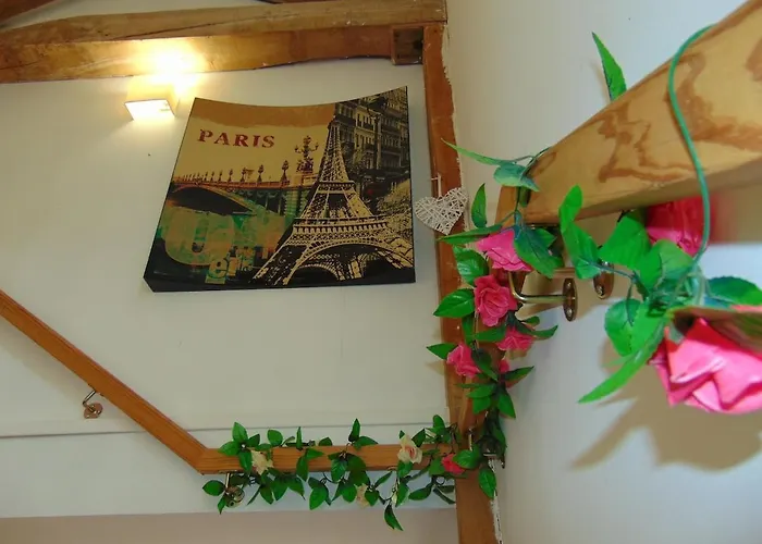 Coup De Cœur - Piscine&vignes - Près D'albi Et Cordes