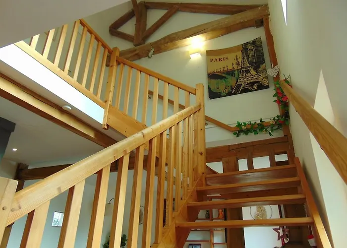 Coup De Cœur - Piscine&vignes - Près D'albi Et Cordes