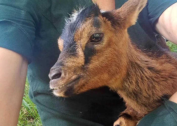 Casa vacanze Coup De Cœur - Piscine&vignes - Près D'albi Et Cordes