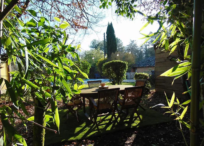 Coup De Cœur - Piscine&vignes - Près D'albi Et Cordes * Gaillac